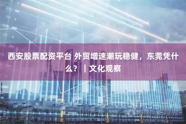 西安股票配资平台 外贸增速潮玩稳健，东莞凭什么？｜文化观察